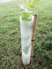 Vine Pro Vineyard Grow Tube