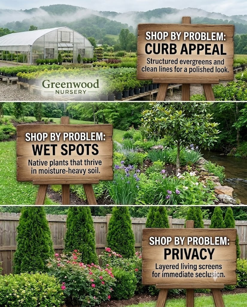A three-panel collage showing wooden sign plaques displayed in garden settings. The top panel shows a greenhouse landscape with a sign reading 'SHOP BY PROBLEM: CURB APPEAL' and the Greenwood Nursery logo.