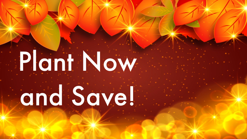 Click Here to Save!