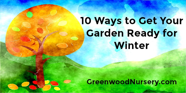 10 Ways to Get Your Garden Ready for Winter