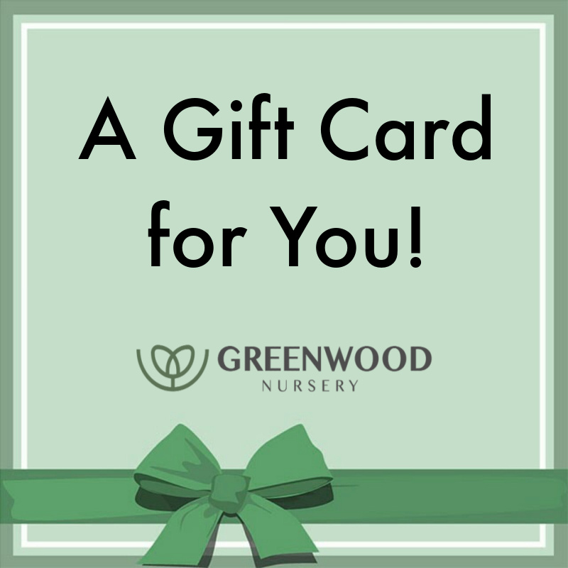 GreenwoodNursery.com gift cards