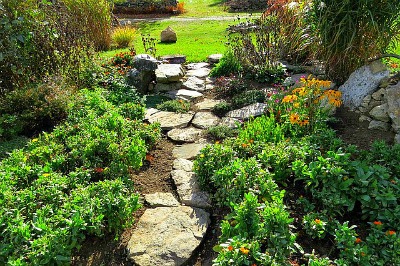 Garden path with stone walk