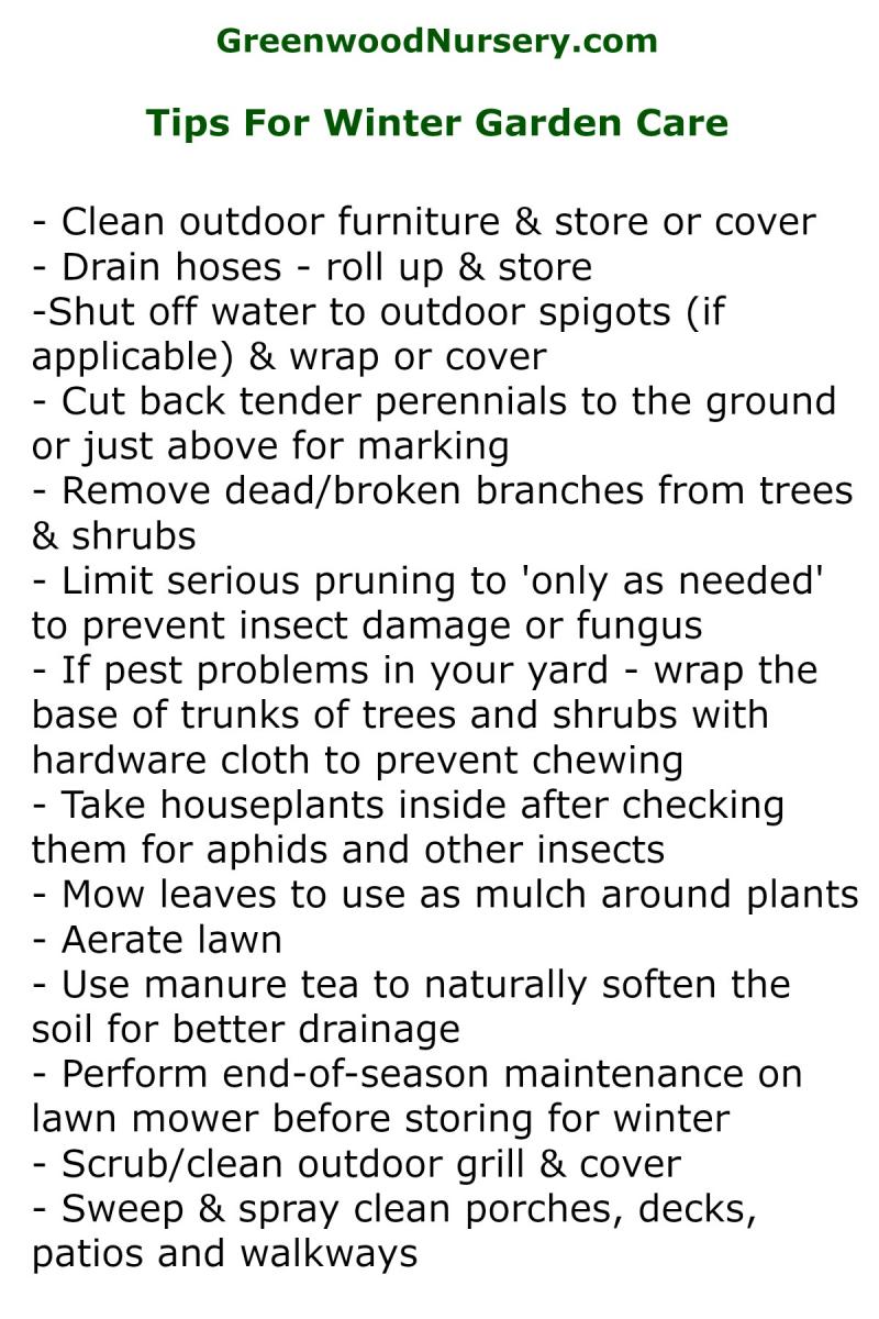 Tips for winter garden care