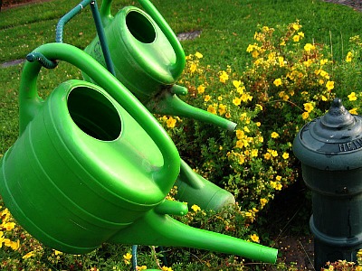 reduce summer watering in the garden