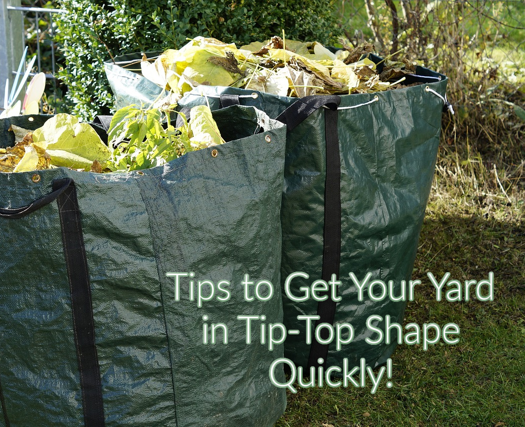 tips to quickly clean your yard and garden for spring