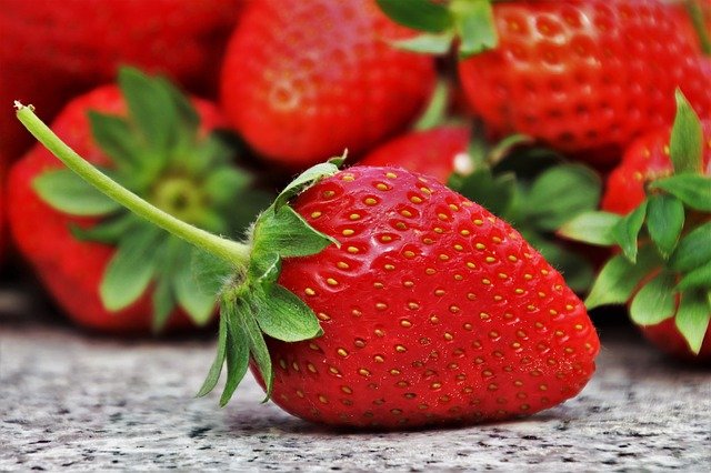 buy strawberry plant plugs online at GreenwoodNursery.com