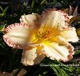 Frosted Vintage Ruffles Daylily